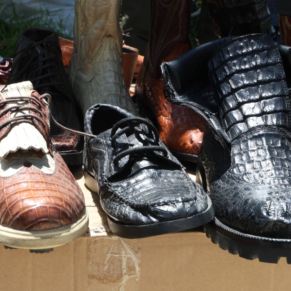 Incautan más de 131 kilos de pieles y productos de fauna silvestre en Bogotá