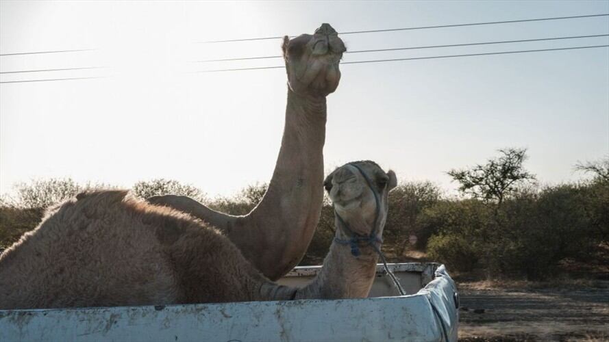 Google ya publicó el listado con los términos de búsqueda más utilizados durante este 2020 . Foto: Getty Images