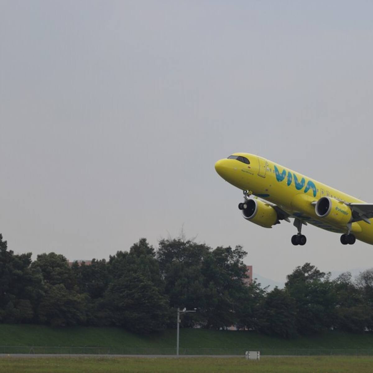 Nella Airlines estaría interesado en inyectar capital a la aerolínea Viva