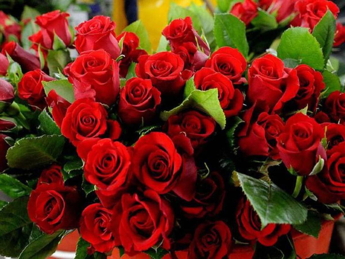 W Radio entregó flores de DaFlores