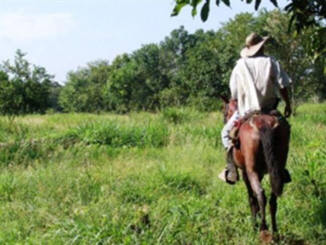 Ley de Restitución de Tierras recibe críticas de las organizaciones de Derechos Humanos