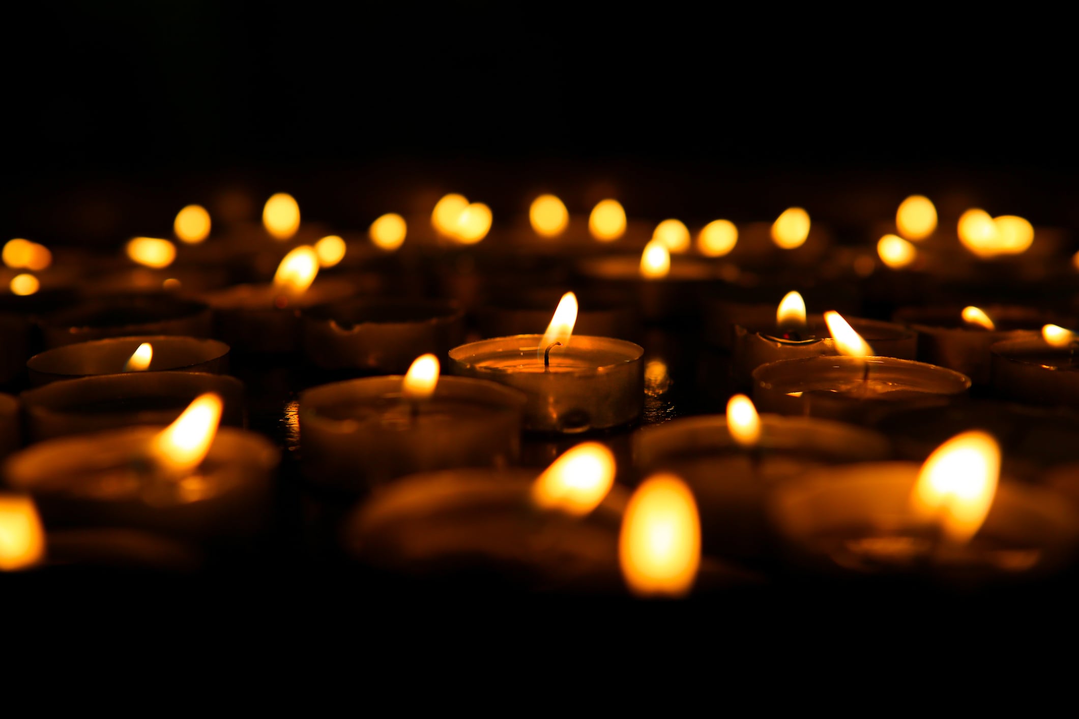 Imagen de referencia.