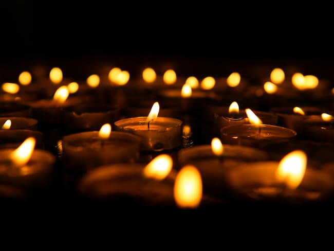 Imagen de referencia.