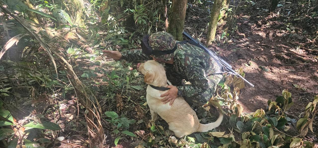 Ejército Nacional destruye 59 artefactos explosivos en Puerto Rico, Caquetá