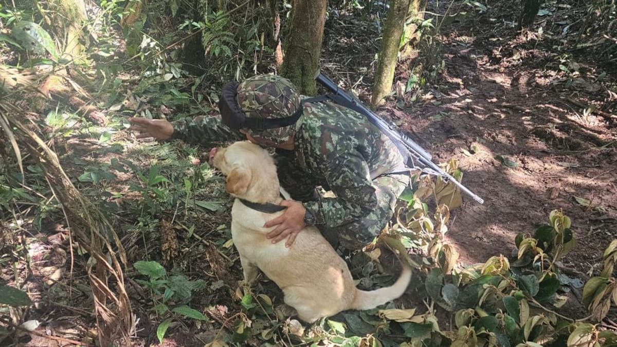 Ejército Nacional destruye 59 artefactos explosivos en Puerto Rico, Caquetá