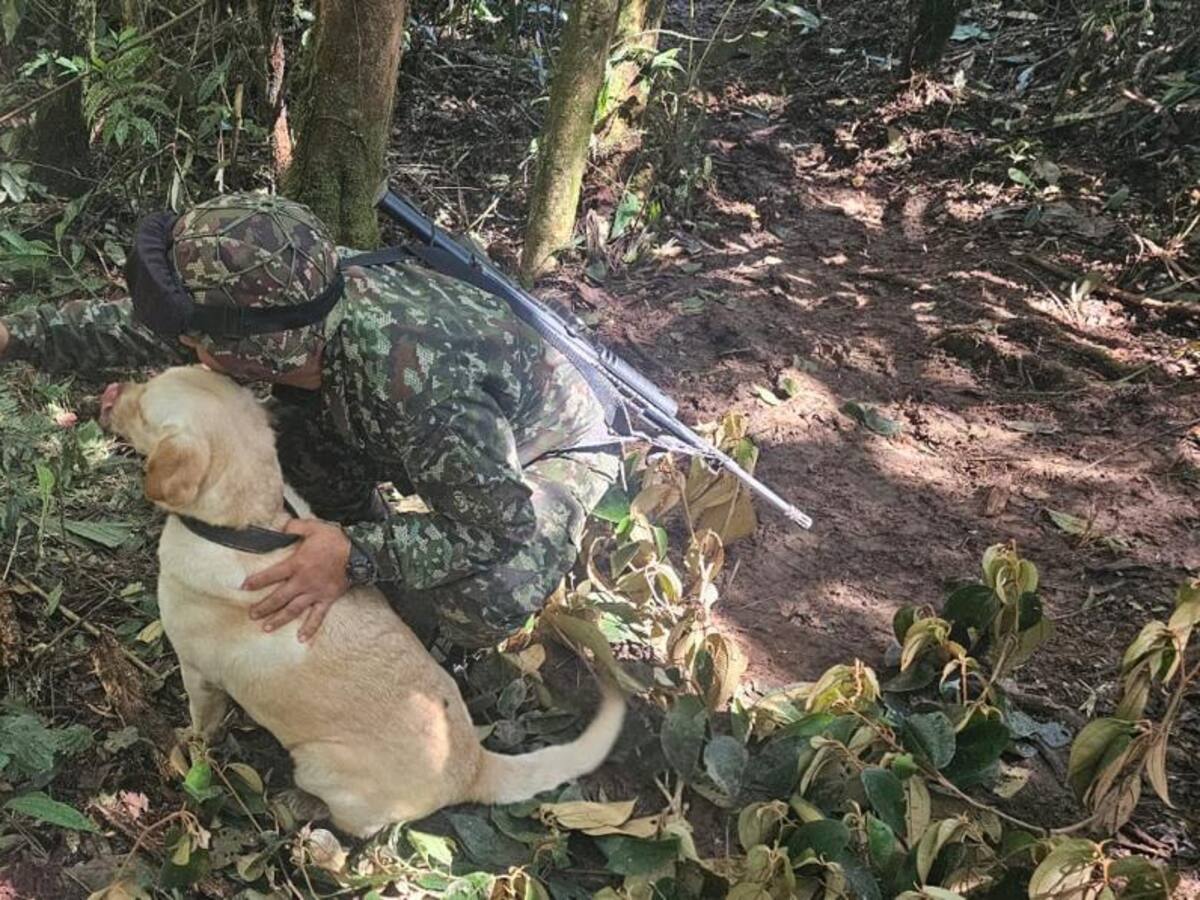 Ejército Nacional destruye 59 artefactos explosivos en Puerto Rico, Caquetá