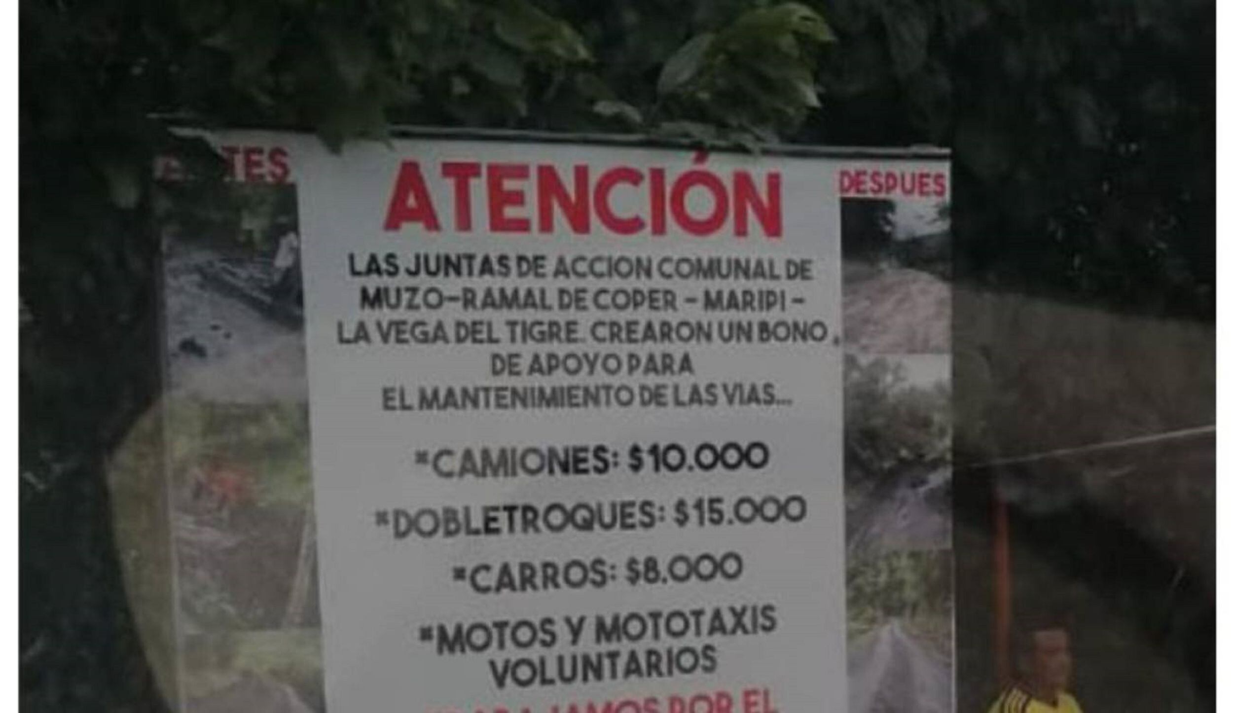 Anuncio sobre el bono solidario. Foto: Suministrada.