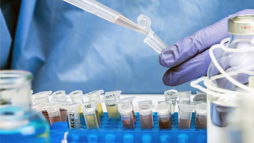 Los casos recuperados de COVID-19 reportados hoy son 7.248. Foto: Getty Images