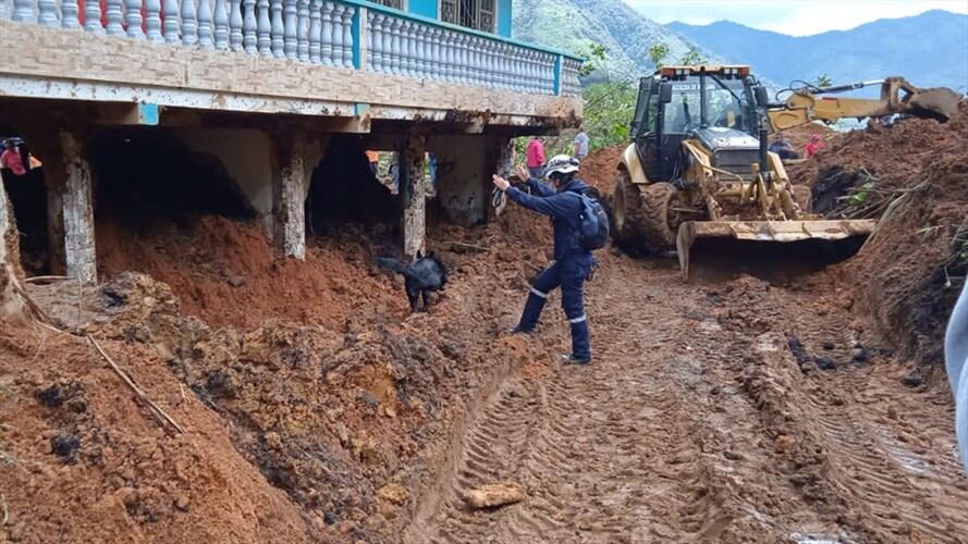 Se hicieron necesarios por lo menos cinco cuerpos de bomberos de municipios como Pasto, Túquerres, Ricaurte, Ipiales y Mallama. Foto: Proporcionada por Paulo Paz