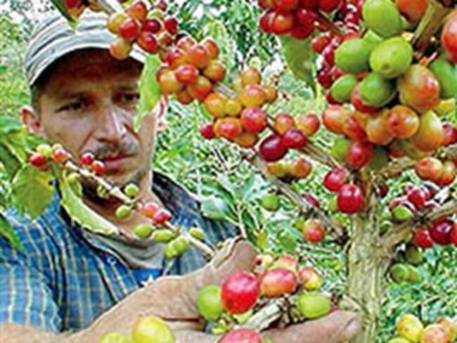 Gobierno logra preacuerdo para evitar paro nacional cafetero