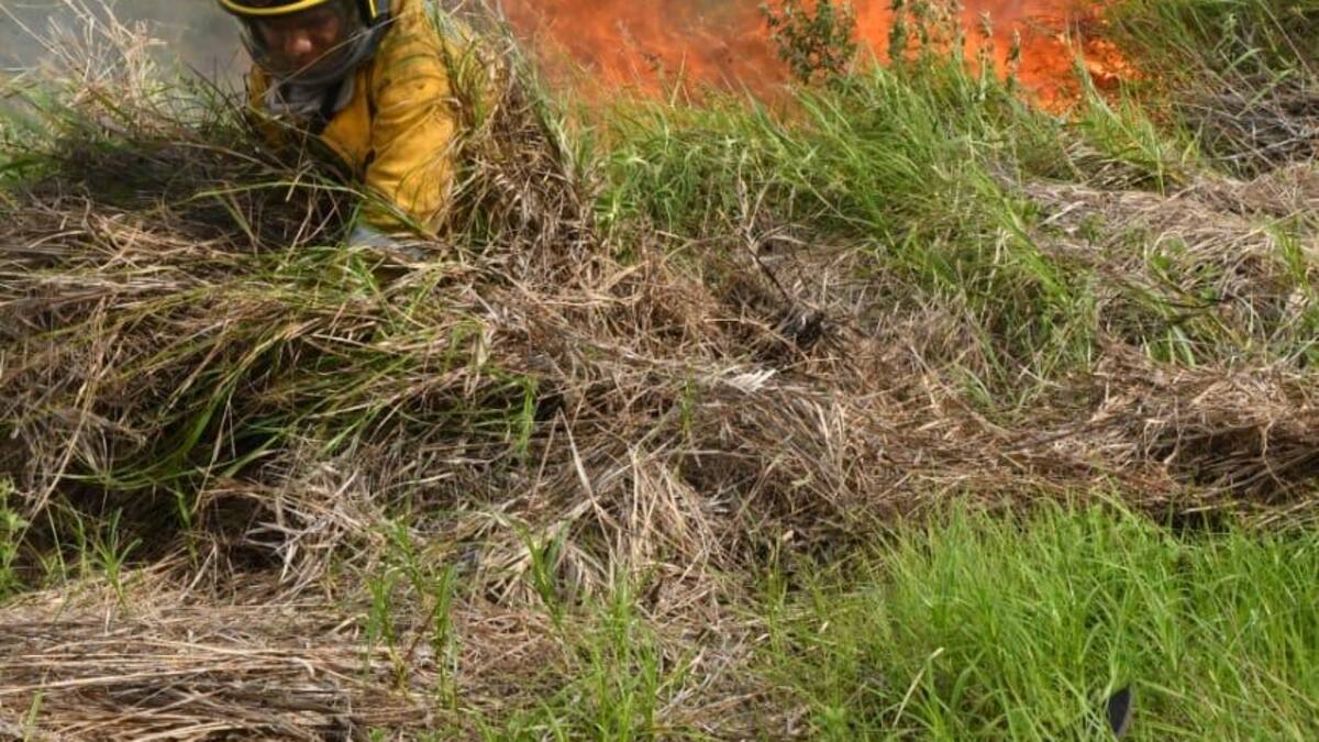 Cuatro bomberos lesionados y varias hectáreas afectadas deja incendio forestal en Cali