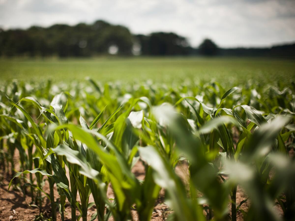 Invasiones a propiedad privada, una preocupación latente en Cauca y Valle del Cauca