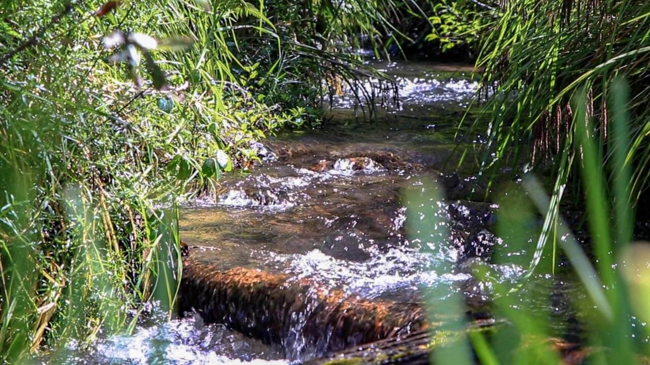 Imagen de referencia.