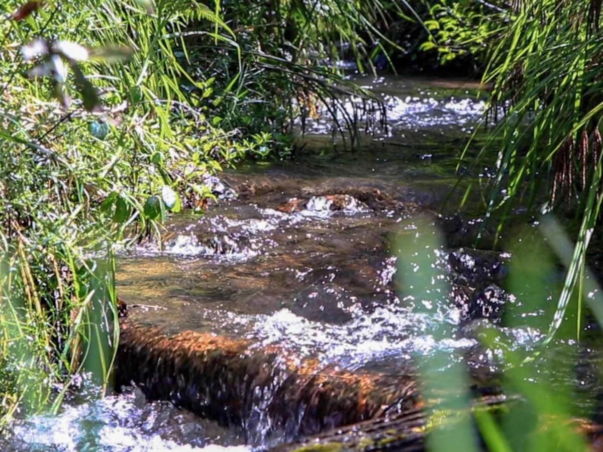 Colombia es por tercer año consecutivo el país más mortal para los defensores ambientales