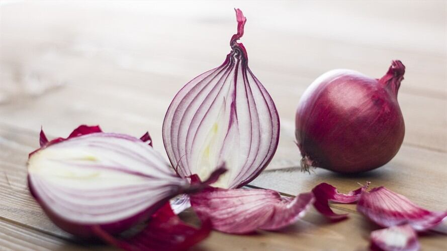 El brote, que se identificó en 10 de julio, no ha cobrado la vida de ninguna persona, sin embargo, sí han aumentado los casos. Foto: Getty Images