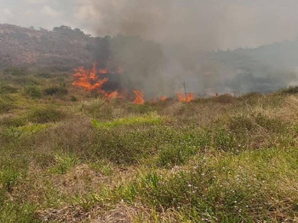 Incendio en Los Santos, Santander, ha consumido 80 hectáreas de bosque virgen
