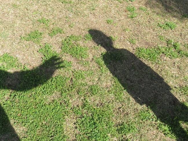 Cadena perpetua no disuade la comisión del delito: Cristina Pardo