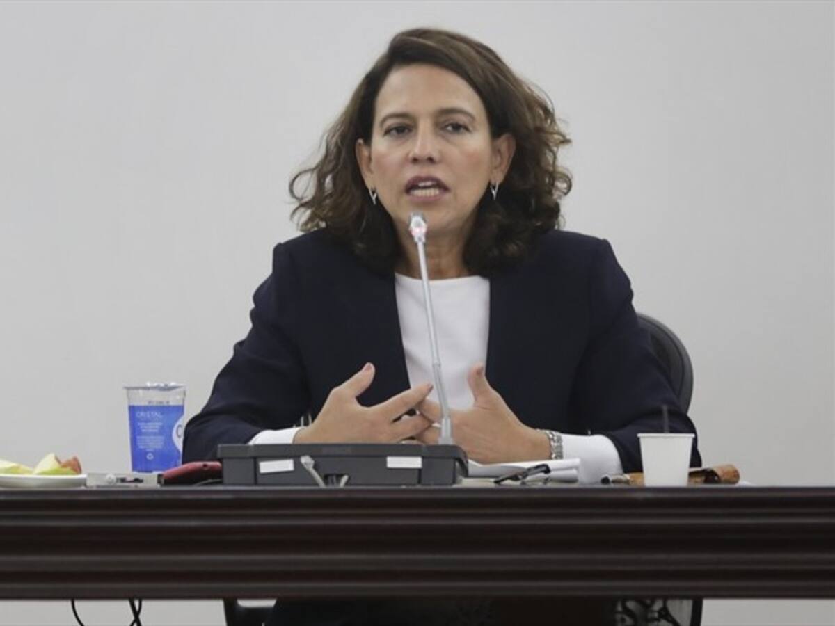 Prioridad es que organismos de control adelanten su trabajo: Gobierno sobre CIDH