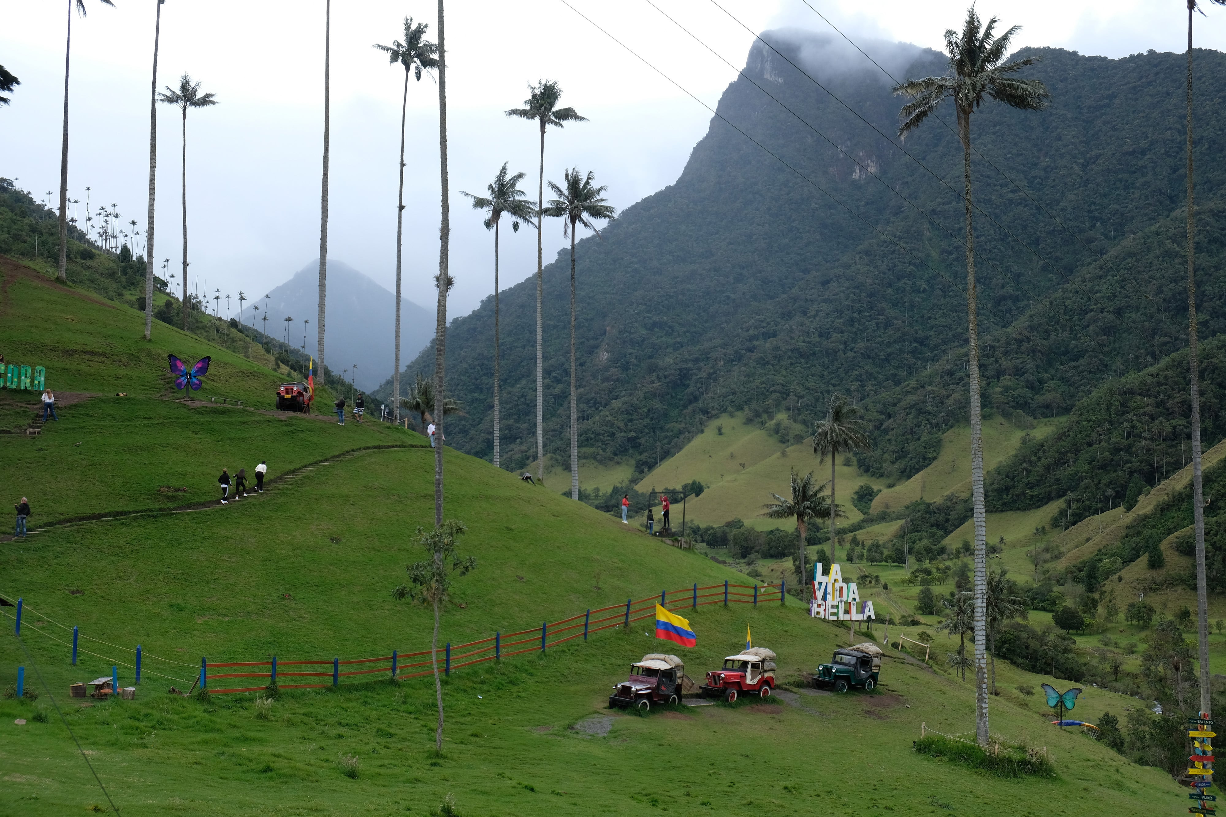 Valle del Cocora, Salento (Foto: Getty Images)