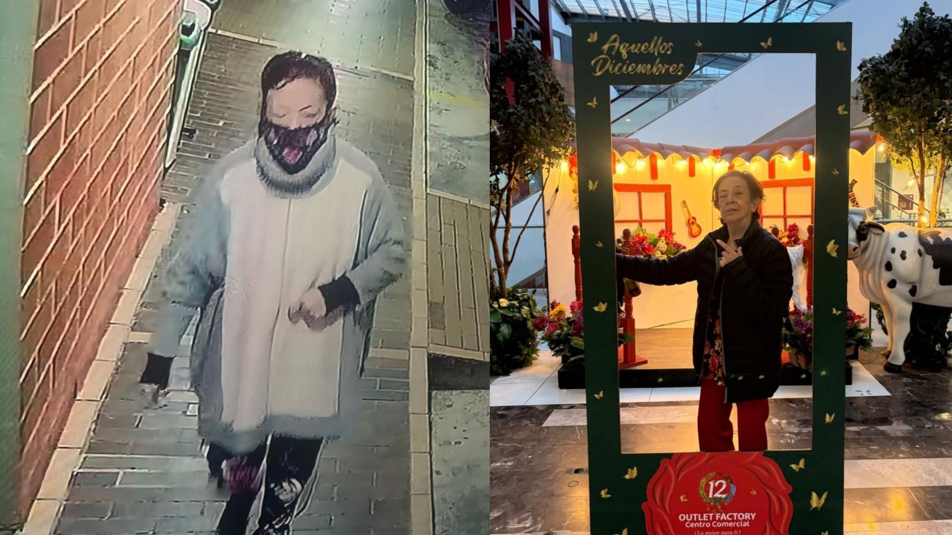 Consuelo Vargas, mujer desaparecida en el barrio Castilla en Bogotá. FOTOS: Suministradas