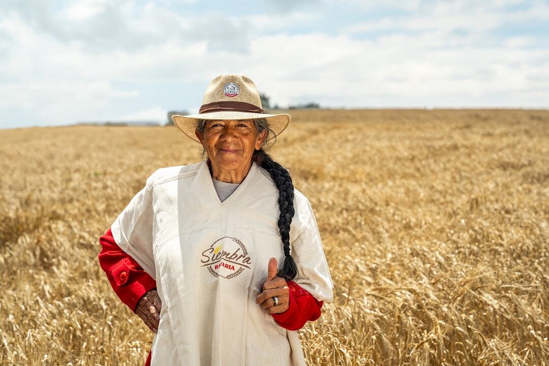 Bavaria lanza convocatoria para sumar 1.000 agricultores a su programa de cebada en 3 departamentos