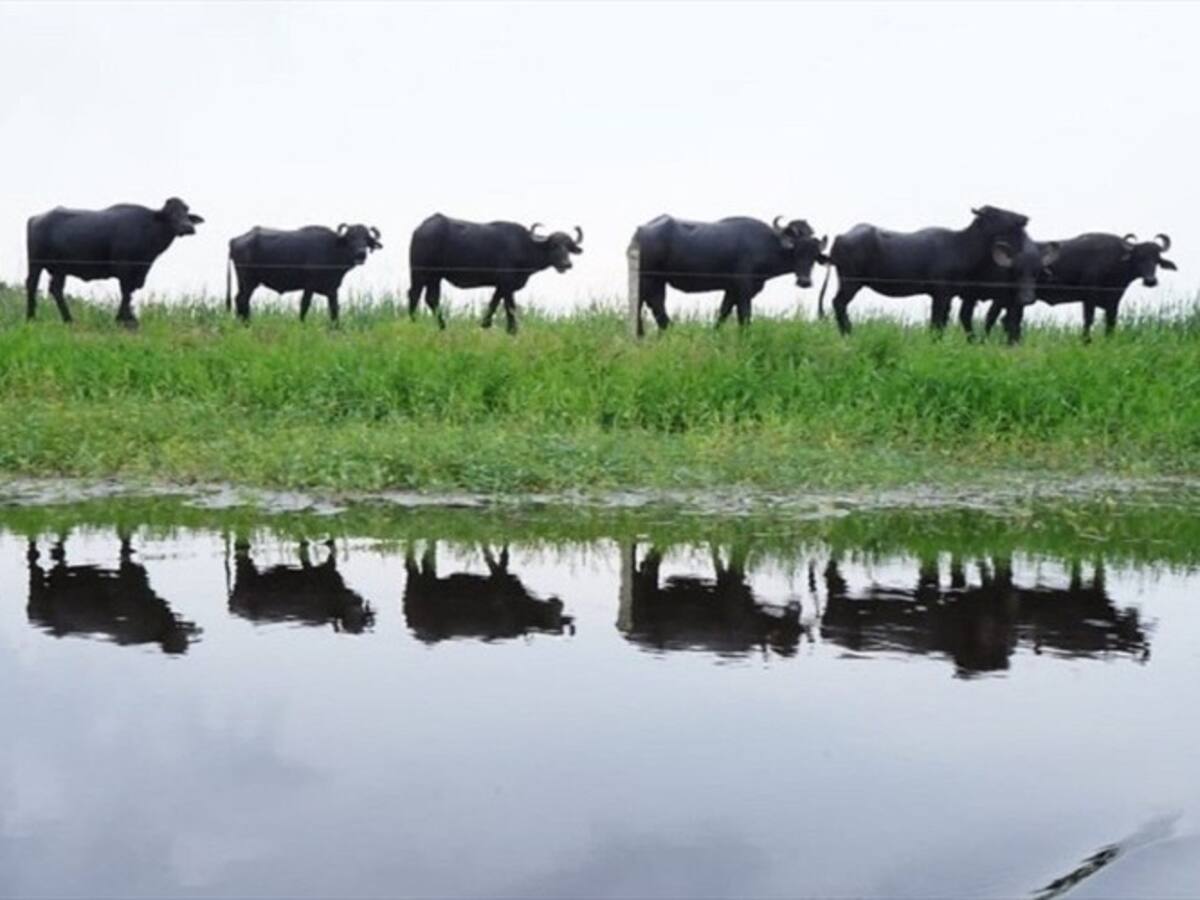 Obras de mitigación en La Mojana se le retirarán al Fondo Adaptación