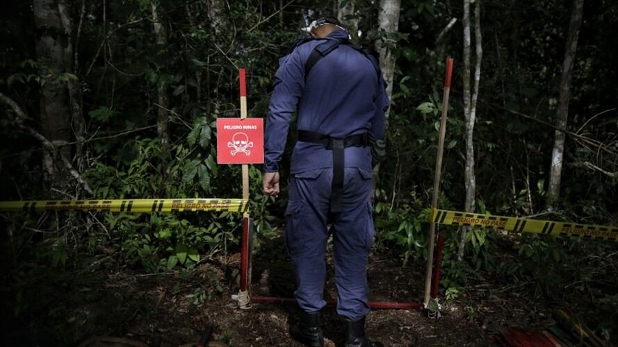 Foto de referencia de labores de desminado en Colombia. Foto: Colprensa/Sergio Acero
