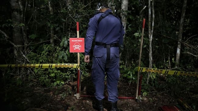 Foto de referencia de labores de desminado en Colombia. Foto: Colprensa/Sergio Acero