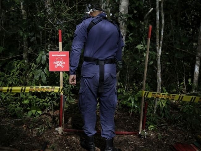 Foto de referencia de labores de desminado en Colombia. Foto: Colprensa/Sergio Acero