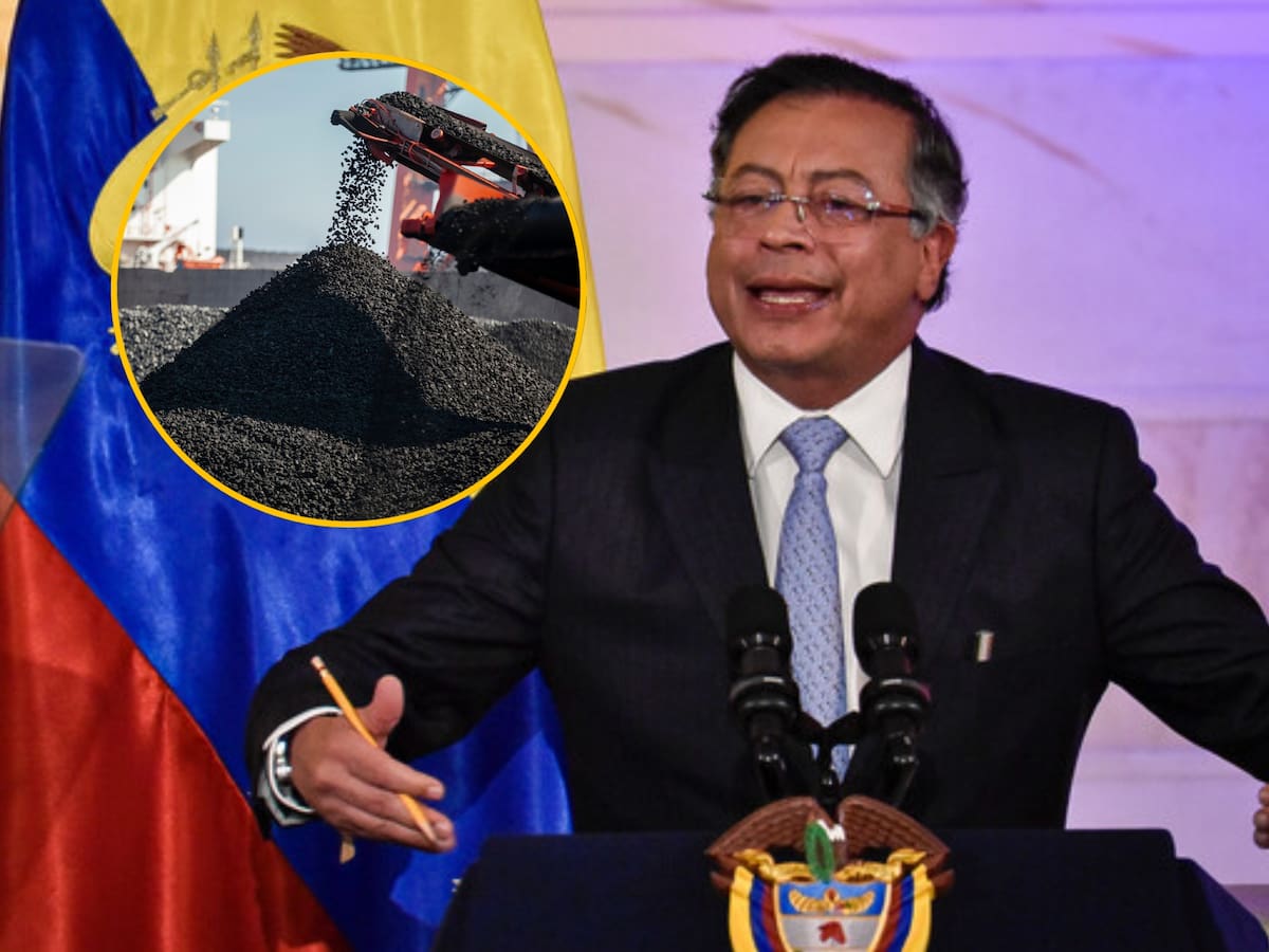 Orden del presidente Petro a la Armada Nacional: “detener barcos con destino a Israel”
