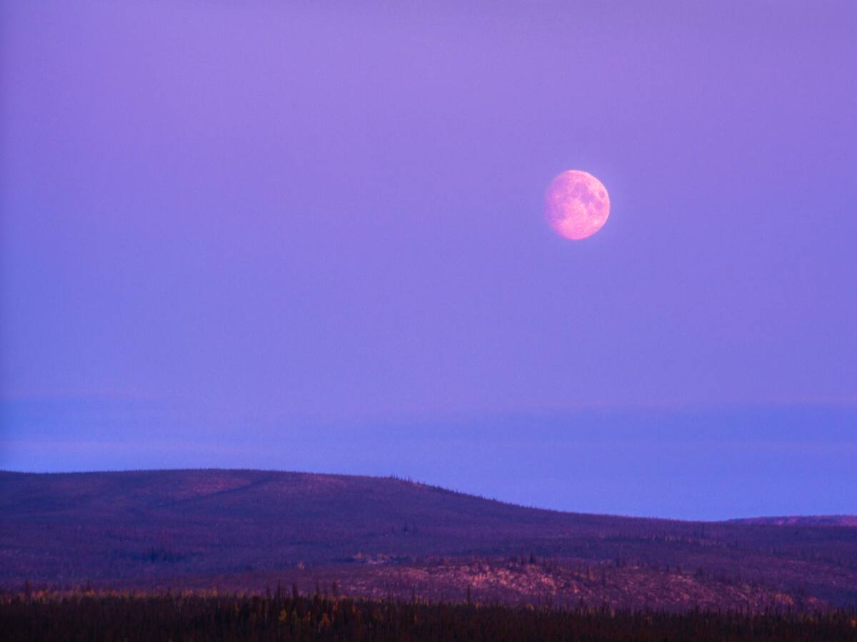 Luna rosa: ¿cuándo y a qué hora se podrá ver en Colombia?