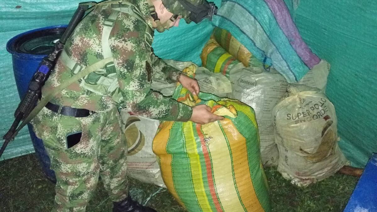 En lo corrido del 2024 fueron incautadas más de 5 toneladas de marihuana en el Cauca