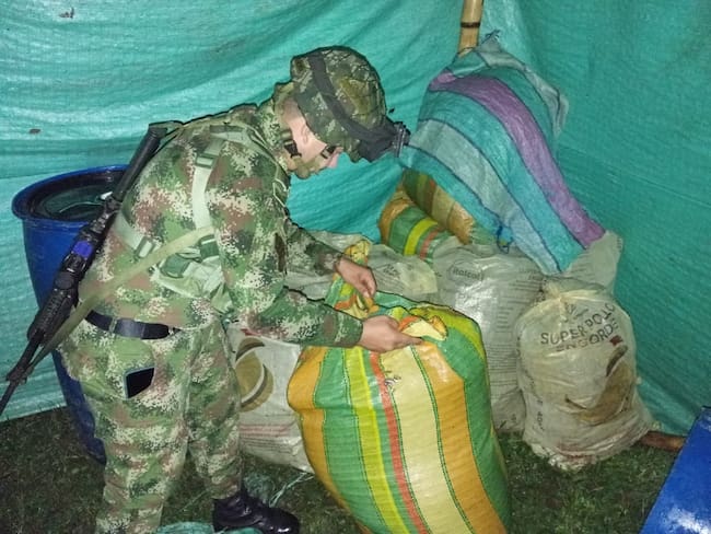 Toda la marihuana fue dejada a disposición de la autoridad competente para su destrucción. Crédito: Ejército Nacional.