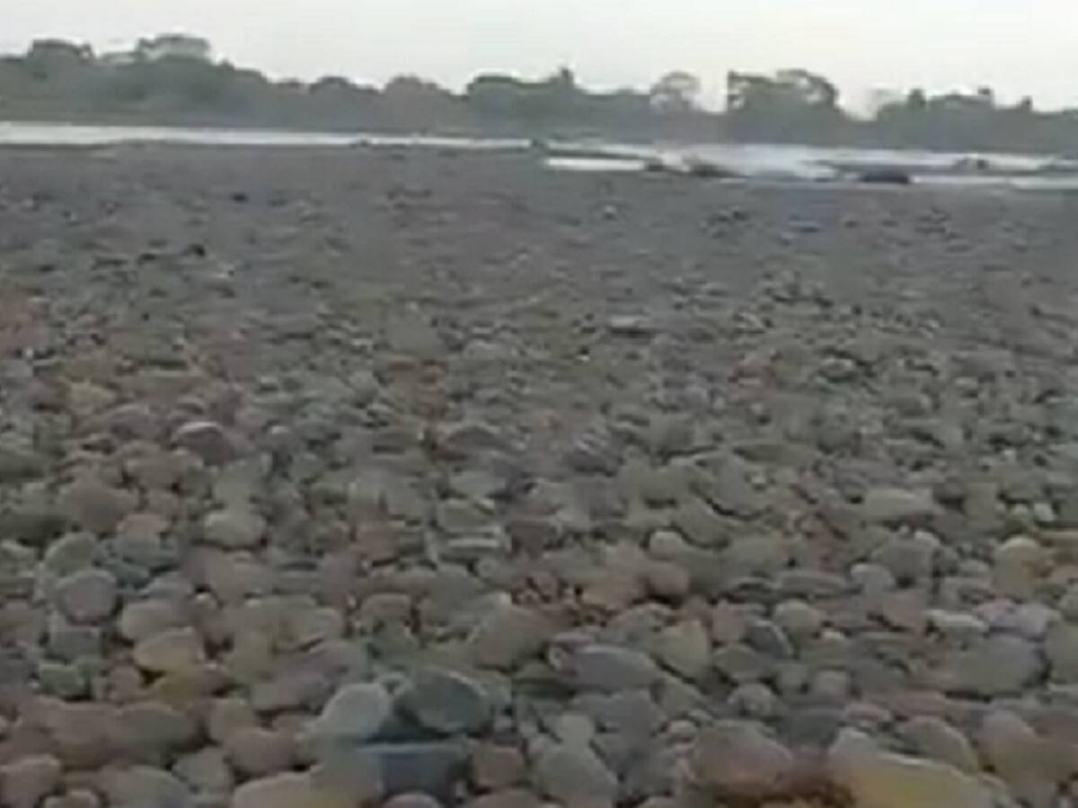 Reportan mortandad de peces en el Río Sogamoso