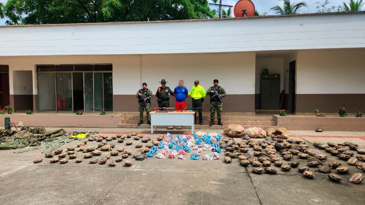 Capturan a un hombre con material de guerra y más de 200 hicoteas en Córdoba. Foto: Ejército.