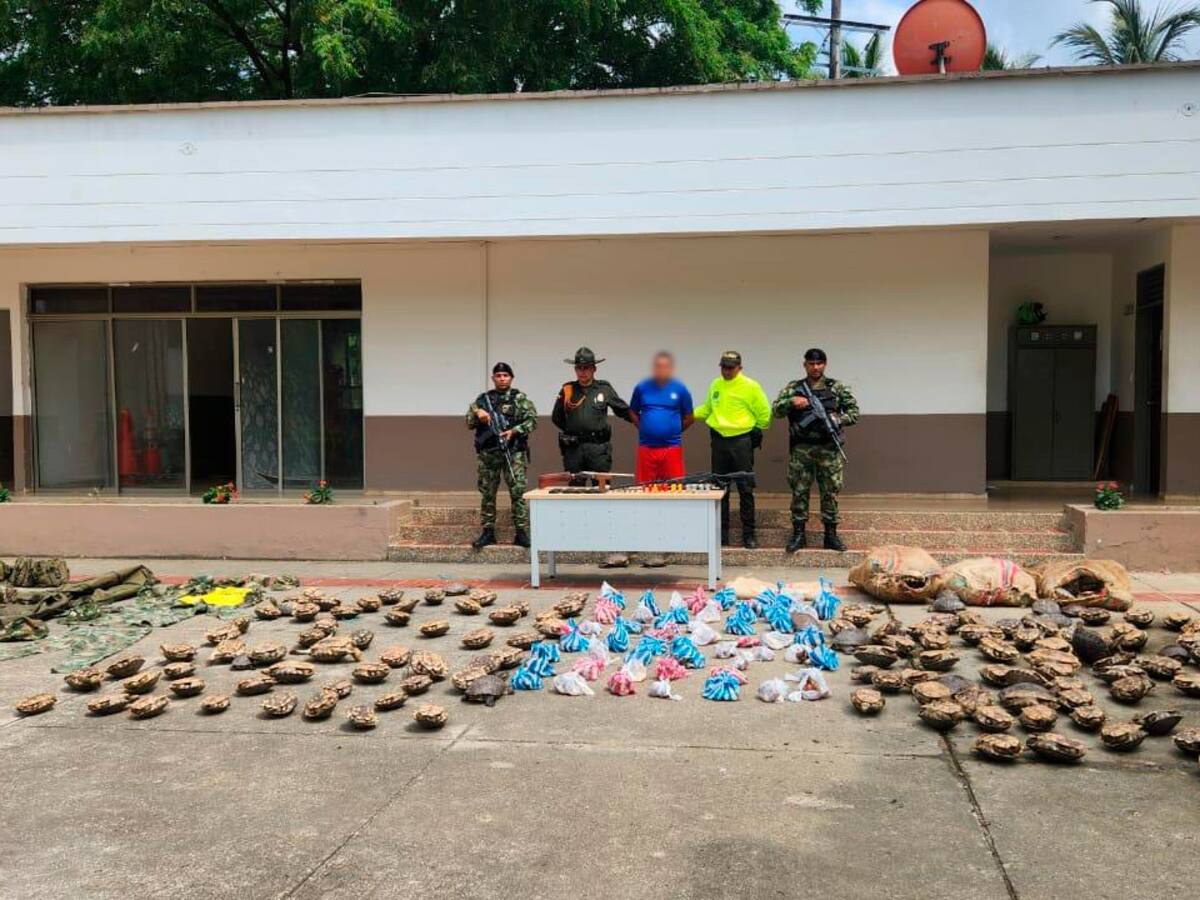 Capturan a un hombre con material de guerra y más de 200 hicoteas en Córdoba