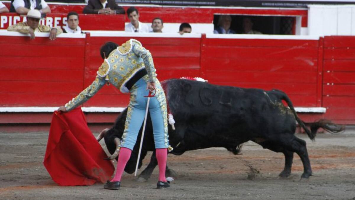 Nuevo proyecto para prohibir corridas de toros pasó raspando segundo debate
