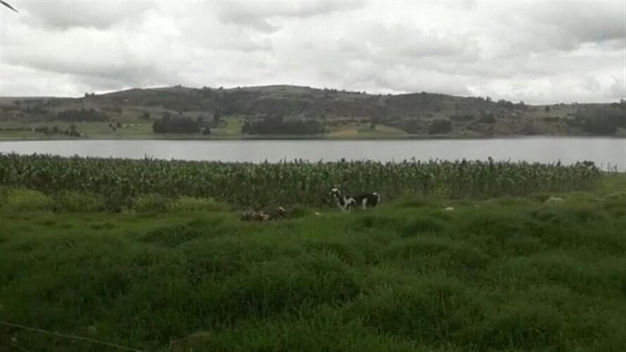 “La CIDH en este momento está estudiando la situación”, señala López.. Foto: W