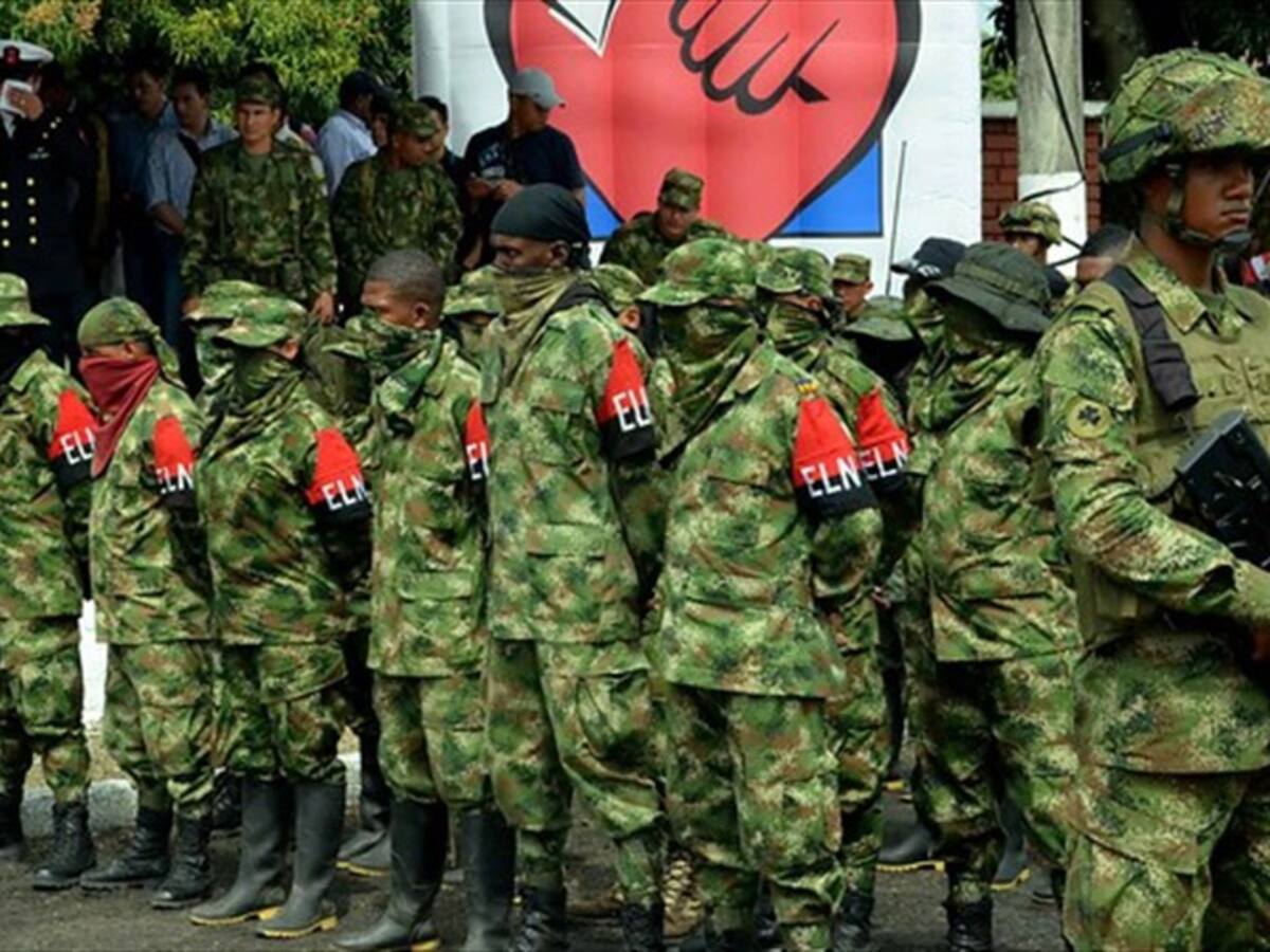 Incautan artefactos explosivos del Eln en Mercaderes, Cauca