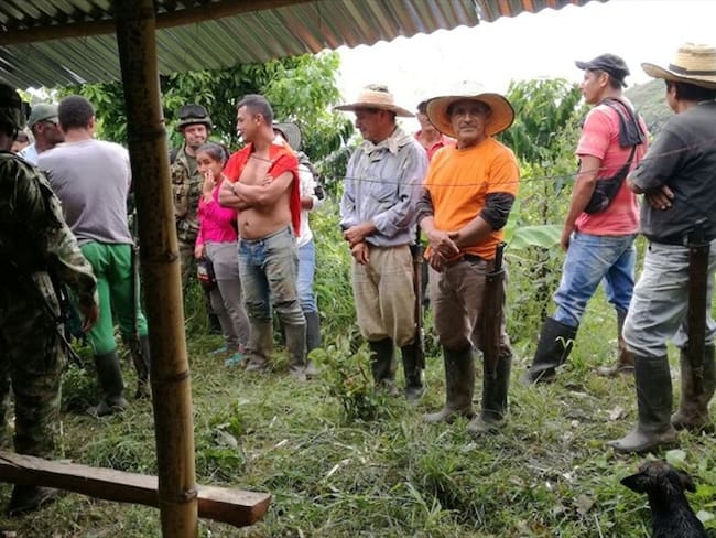 Comunidad se opone a erradicación de cultivos de coca en Cauca. Foto: Red de Derechos Humanos del Suroccidente Colombiano