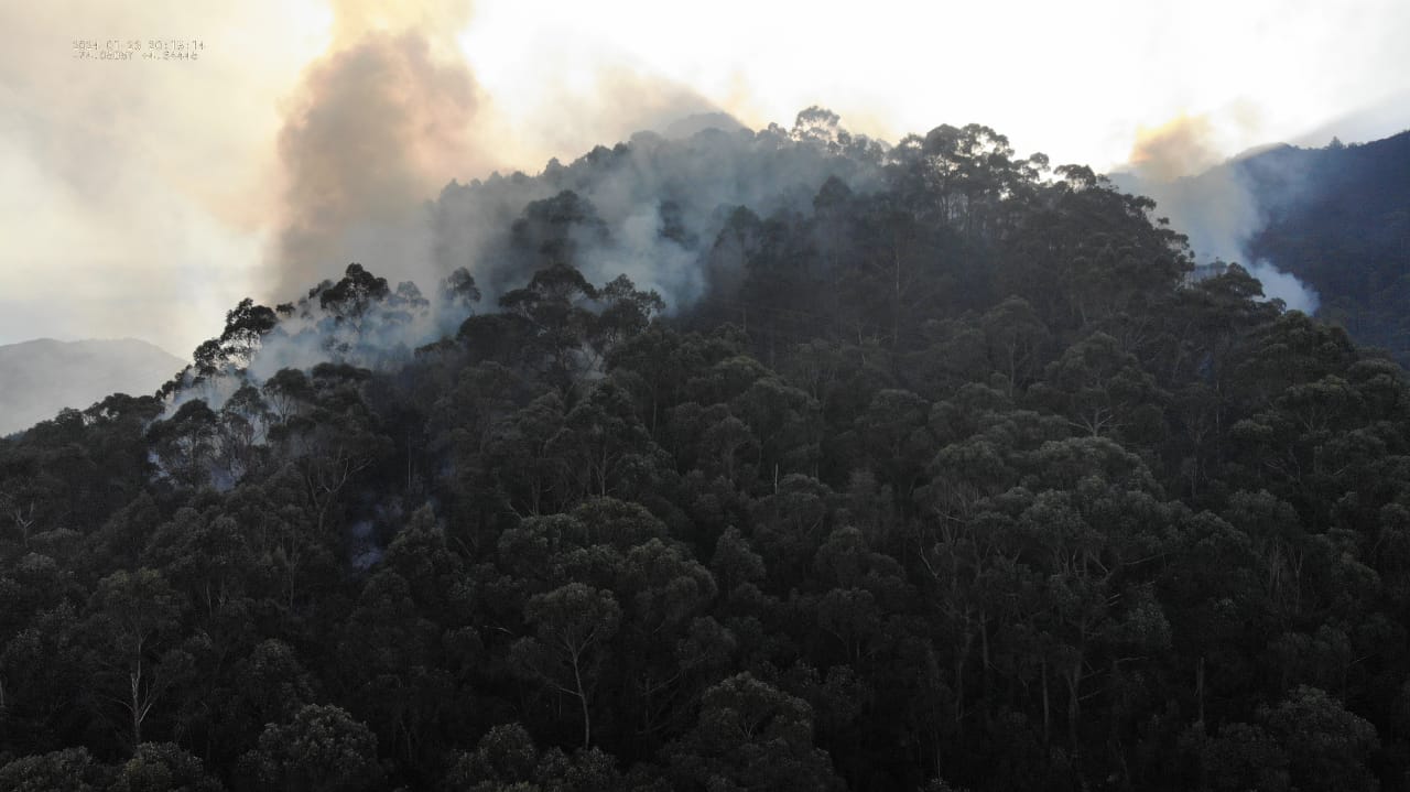 Incendio en cerros orientales 23 de enero de 2024. Foto: Brigada de Ingenieros para la Atención de Emergencia del Ejército Nacional