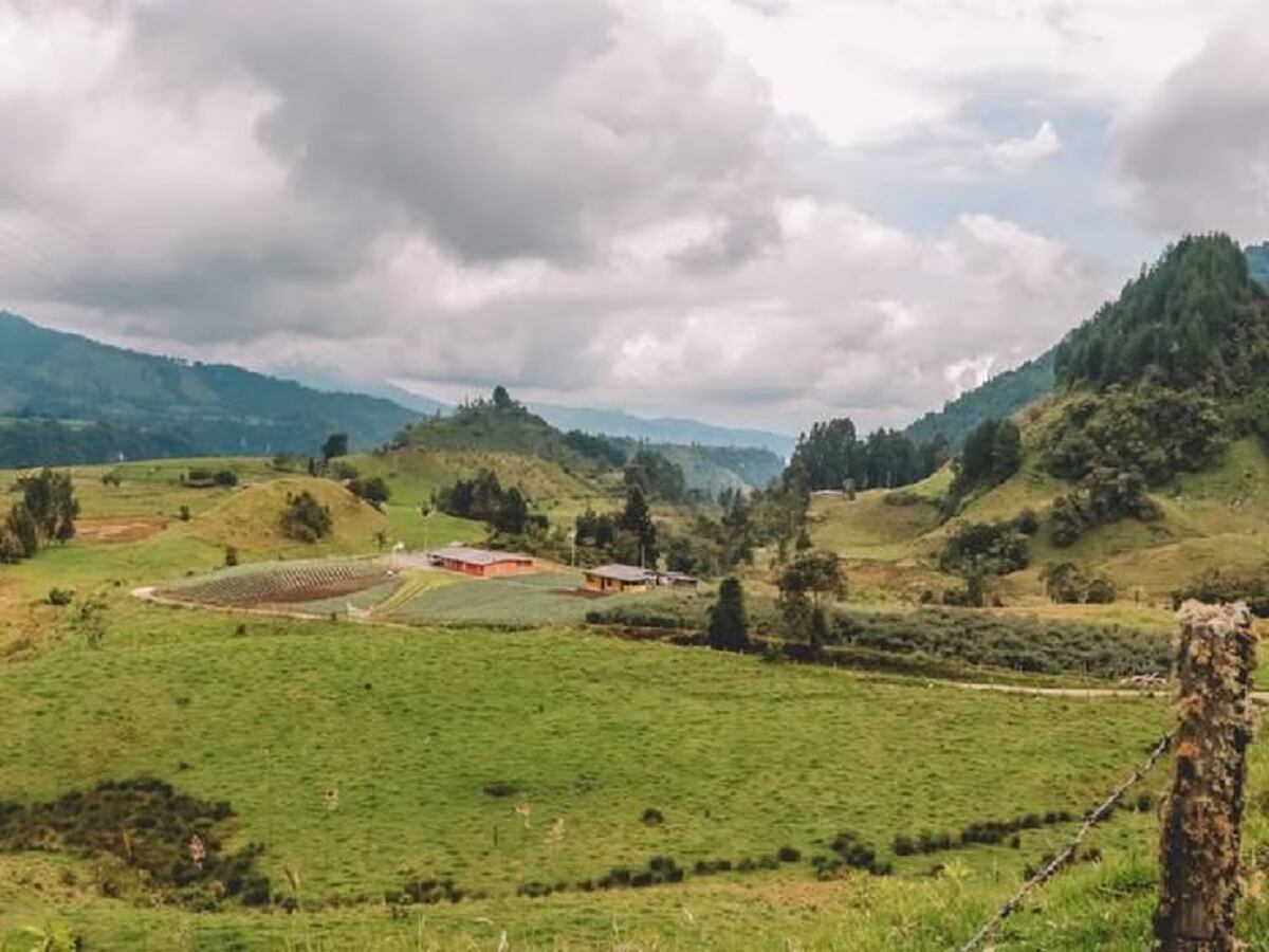 Crédito: Suministrada.