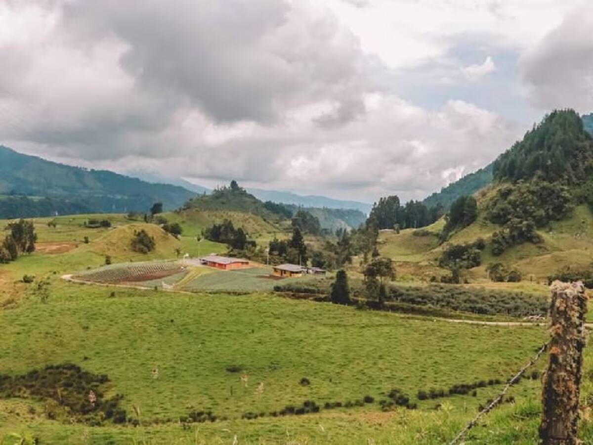 ICBF Caldas retiró a menores de una familia por haberlos hallado en malas condiciones