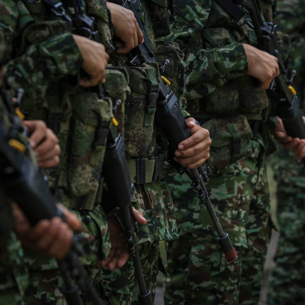 Arranca cese al fuego con ELN: FF.MM. suspenden operaciones de inteligencia ofensivas