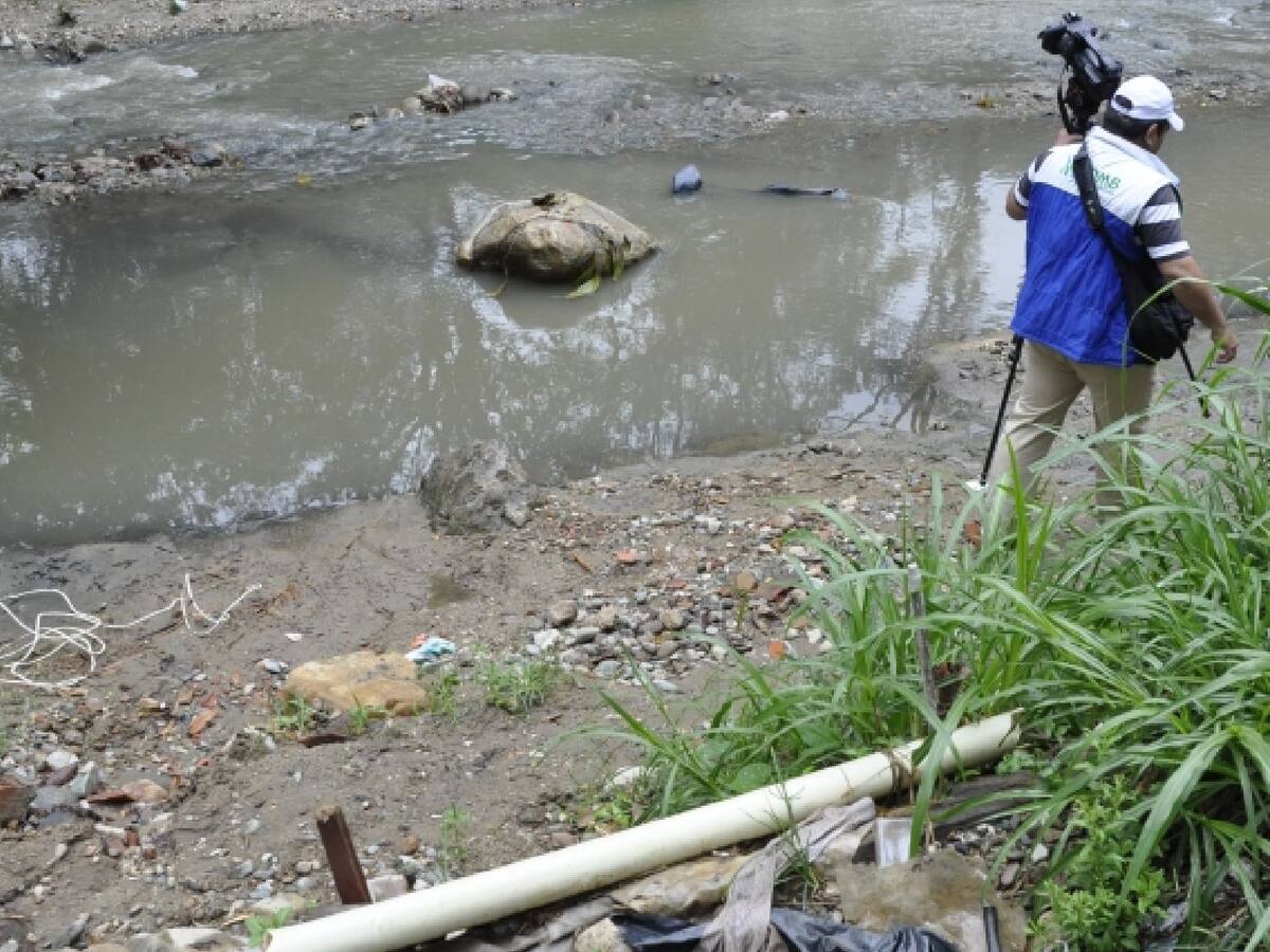 Se normalizan los niveles de mercurio en el río Suratá