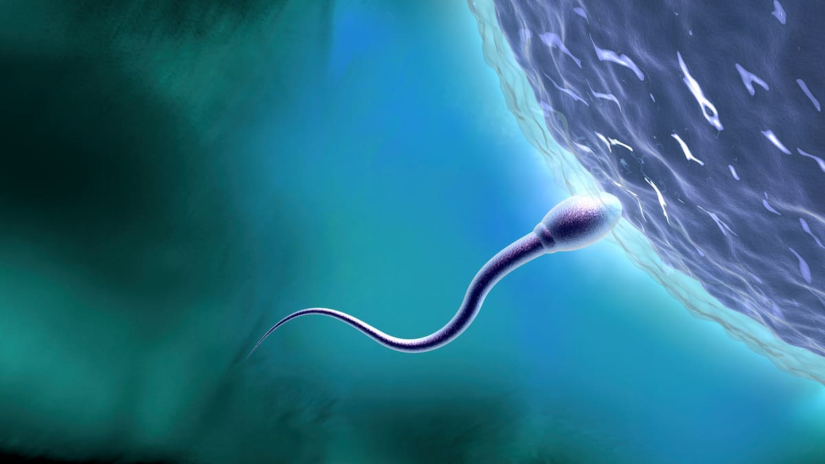 Congelación de óvulos: ¿hasta qué edad es bueno realizar el procedimiento? Experto lo aclaró