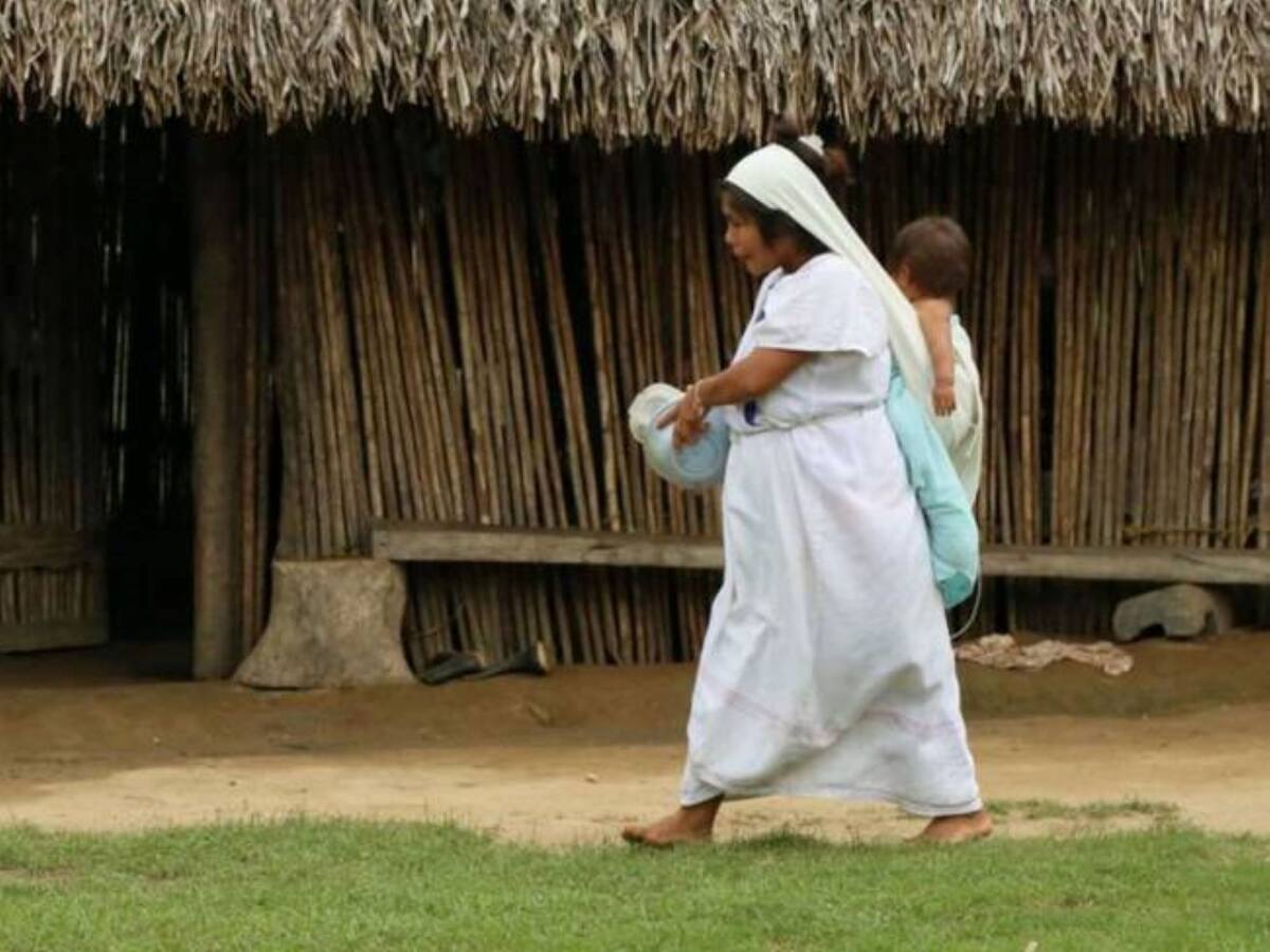 Niños indígenas de la Sierra Nevada son dejados en hogares sustitutos por sus padres