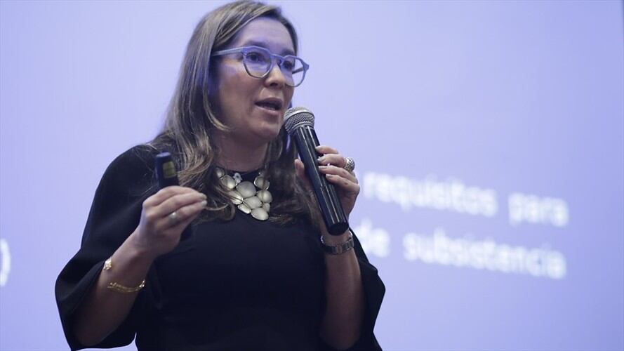 La ministra de Minas, María Fernanda Suárez. Foto: Colprensa