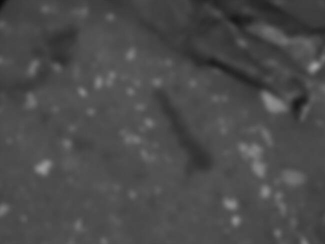 Una comisión integrada por las autoridades indígenas y ordinarias se desplazó al sitio para efectuar las labores de levantamiento . Foto: Cortesía