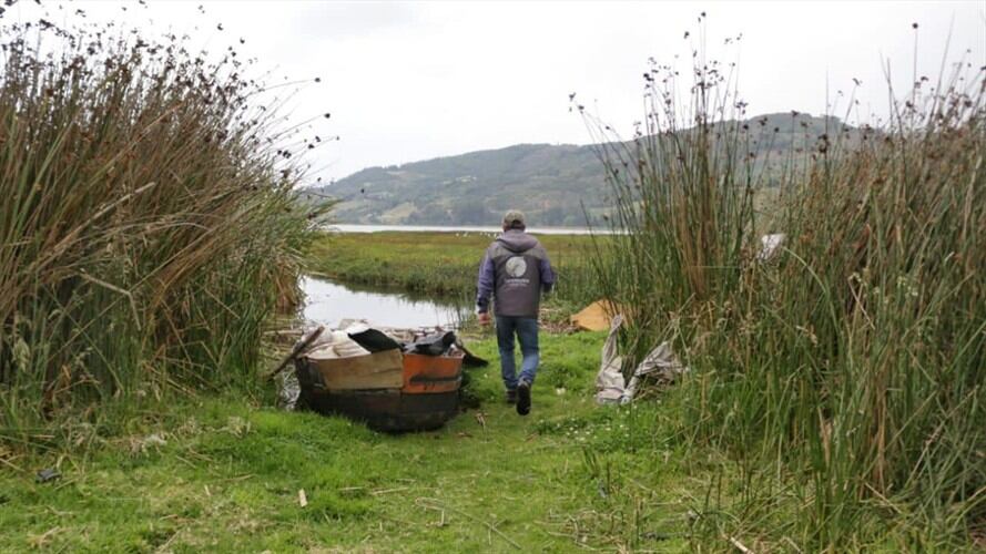 La autoridad ambiental recomendó a los habitantes no emplear la especie como mascotas porque pueden escaparse y colonizar nuevas áreas.. Foto: Corpoboyacá